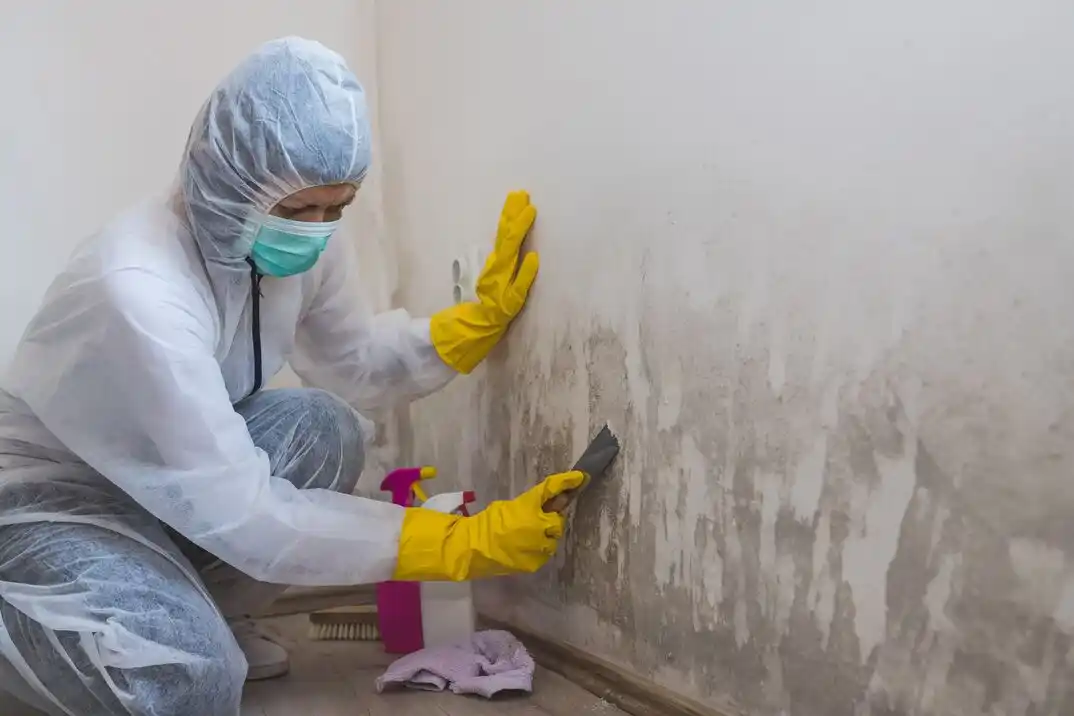 water damage restoration service Dry Pond/Lake Forest